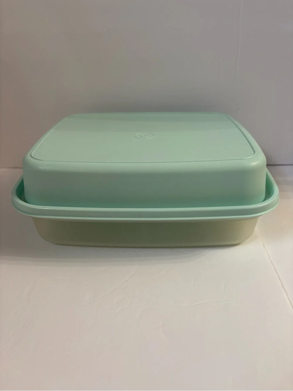 Tupperware Season-Serve Marinade Container Aqua Mint Light Blue
